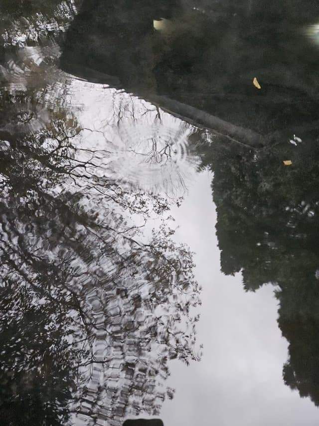 3fb8c32fffd711ab6fb8d38a4783766d70cc02daec24f9b1b91fb3908d7ae4bba3575796a57ece18a330863a0c