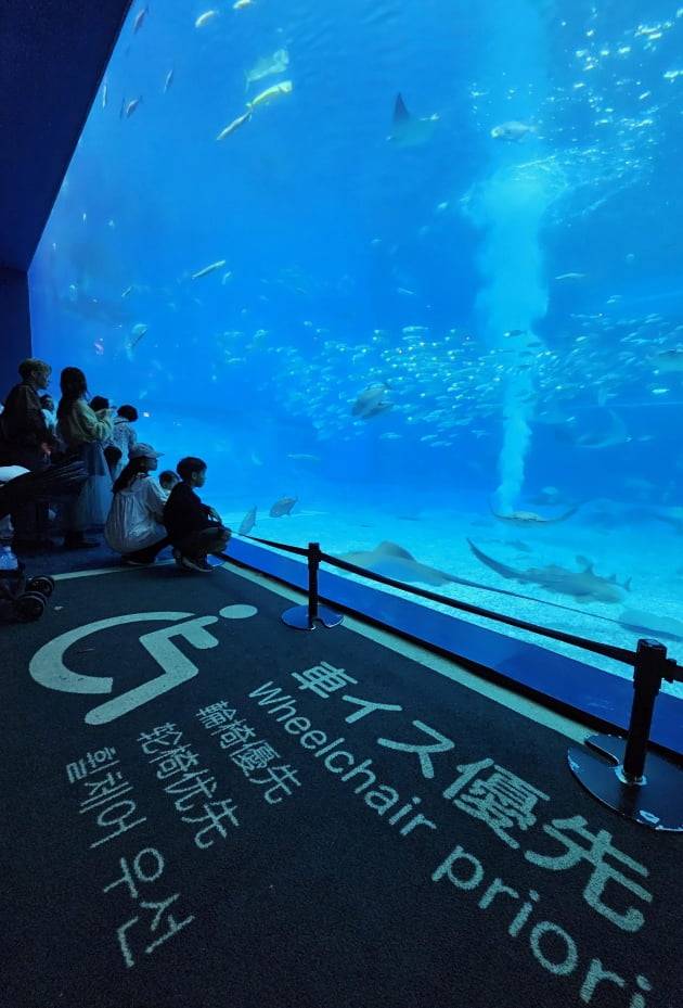 추라우미 메인 수족관 앞, 휠체어 전용 관람공간 / JAPAN NOW