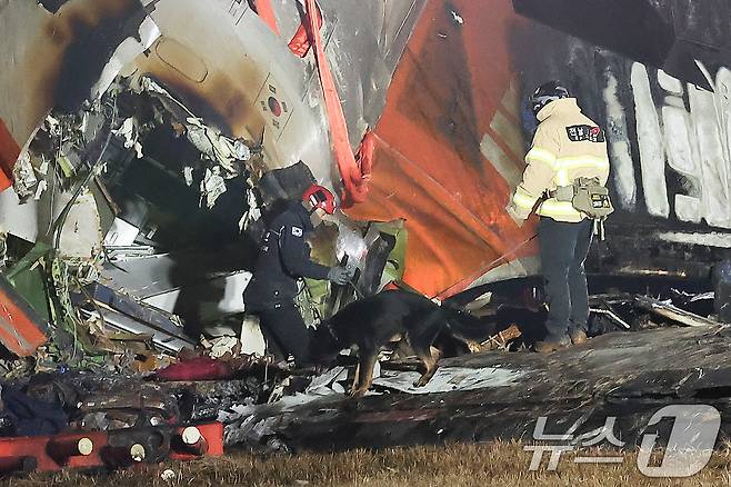 29일 오후 181명이 탑승한 제주항공 여객기가 추락한 전남 무안국제공항에서 소방대원들이 사고 수습 작업을 하고 있다. 2024.12.29/뉴스1 ⓒ News1 김성진 기자