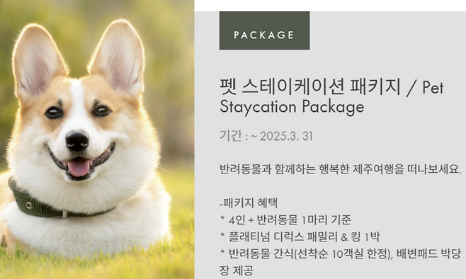 ‘기린빌라리조트 제주’ 펫 스테이케이션 패키지