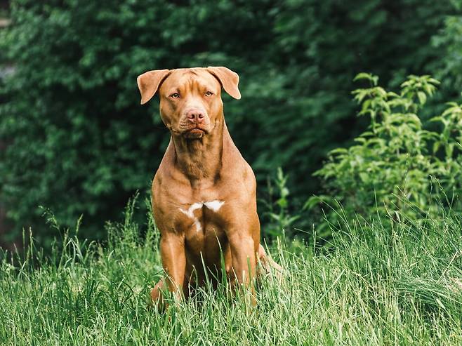 사진은 기사와 관련 없음. 사진=게티이미지뱅크