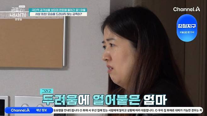 사진 = 채널A '요즘 육아 금쪽같은 내 새끼'