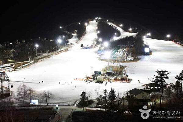 용평리조트 스키장