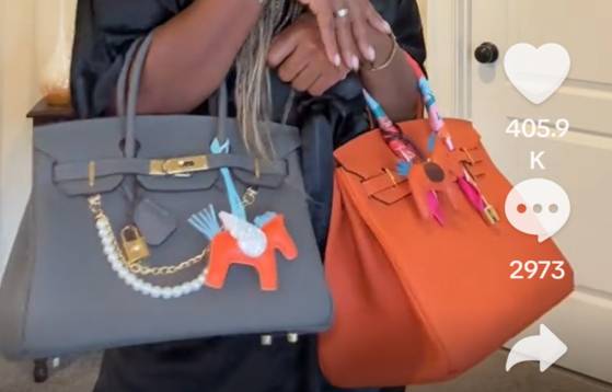 한 틱토커가 에르메스 '버킨백'과 똑 닮은 월마트 '워킨백'을 공개한 영상. 두 제품을 비교하는 영상처럼 보이지만 소개된 제품 모두 워킨백. 틱톡 캡처