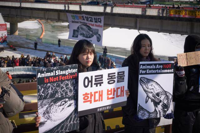 동물해방물결 활동가들이 11일 강원 화천군 화천천 일대에서 열린 산천어축제에서 동물 학살을 중단할 것을 요구하는 손팻말을 들고 있다. 동물해방물결 제공