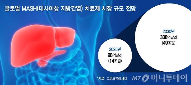 글로벌 MASH(대사이상 지방간염) 치료제 시장 규모 전망. /그래픽=김지영 디자인기자
