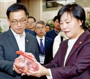 < 사과 살펴보는 崔대행 > 최상목 대통령 권한대행(왼쪽)과 송미령 농림축산식품부 장관이 16일 정부서울청사에서 열린 ‘설맞이 농수특산물 장터’에서 사과를 살펴보고 있다. /김범준 기자