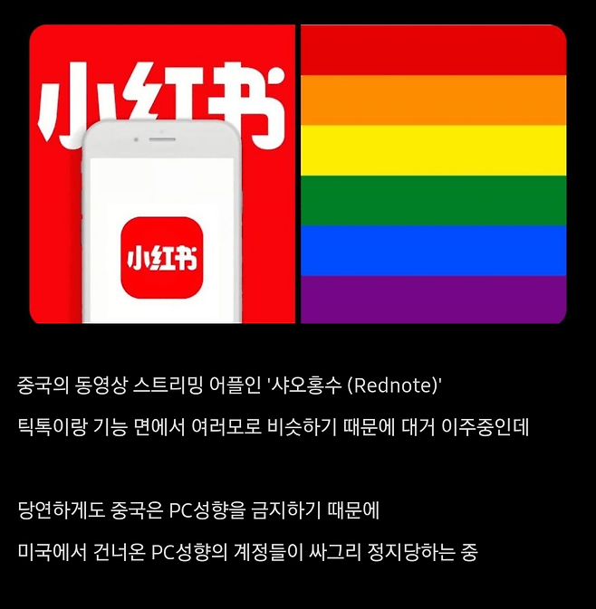 Screenshot_20250119_095923_Samsung Internet.png 미국 틱톡커들이 대체제랍시고 이주하고있는 어플.JPG