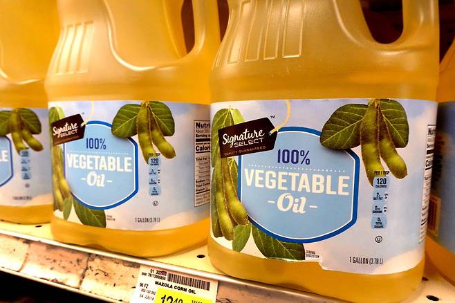 사진=게티이미지코리아.