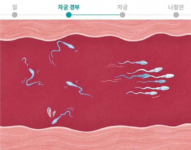 끈적이는 환경 버티려면 뭉쳐야한다. 과학동아 제공