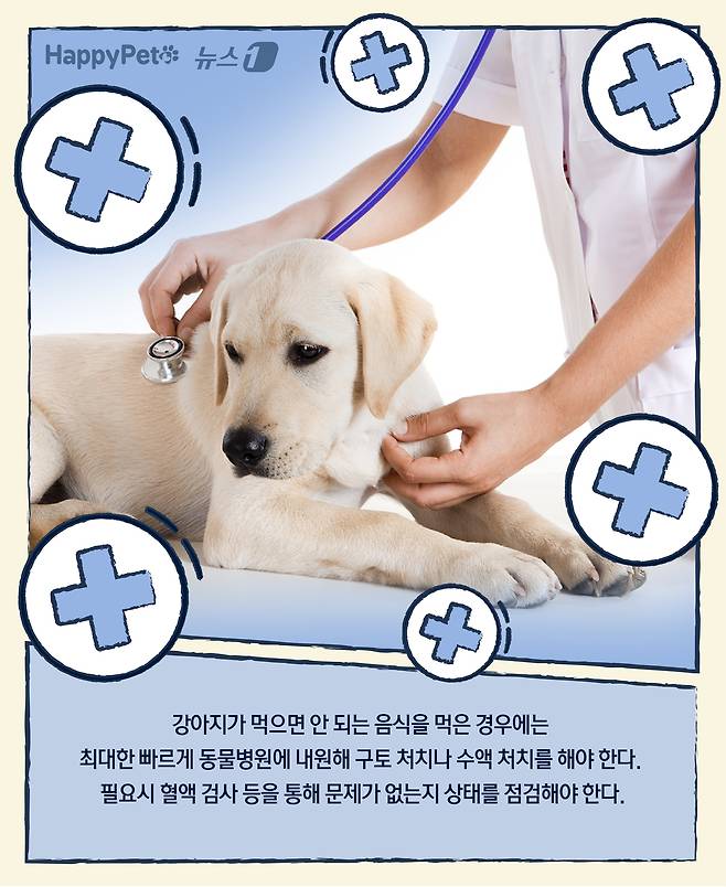 ⓒ News1 윤주희 디자이너