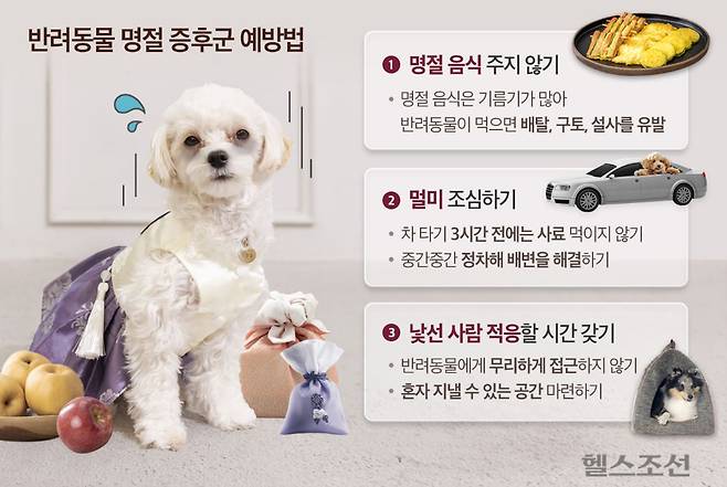 반려동물도 명절 증후군을 겪을 수 있다./그래픽=이동경