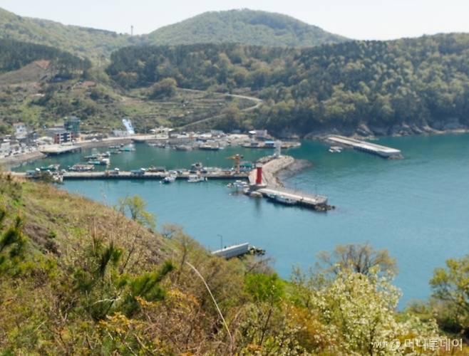 가덕도 신공항 예정부지. /부산=뉴스1