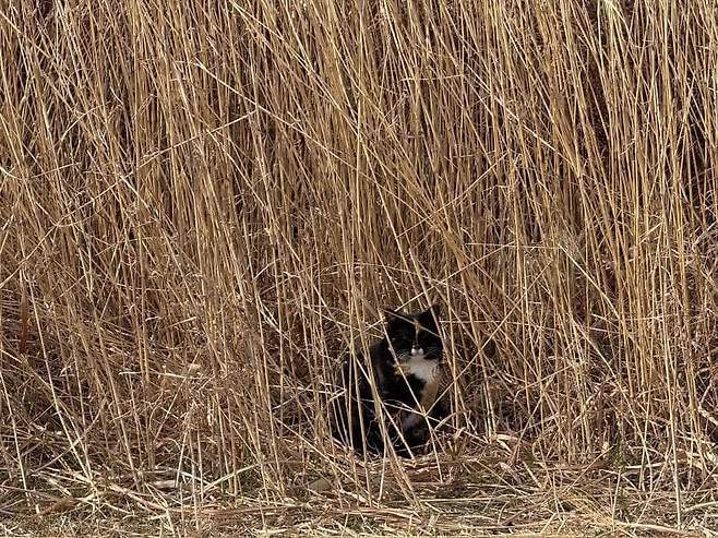 0490f719b4866cf520b5c6b236ef203e926998a77e479d24fe