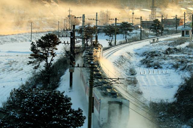 ▲ 사진은 제9회 철도사진공모전 입선작 제천조차장역 박준규 눈꽃열차의 질주 ⓒ 코레일