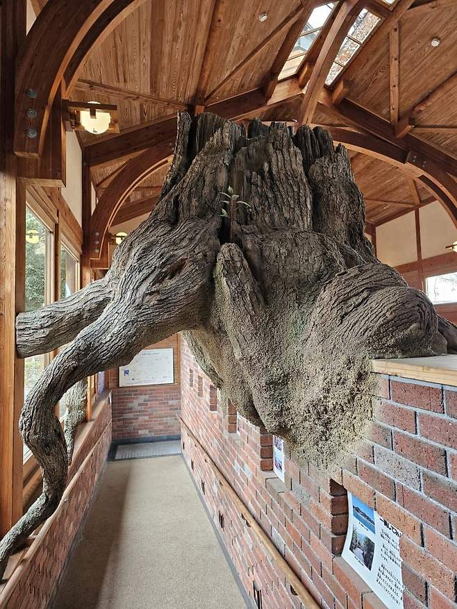 3fb8c32fffd711ab6fb8d38a4e83746fc0da9d80067bccd4f8cc53c4f8a776e5d97155dd145b158157cdfa5c7d