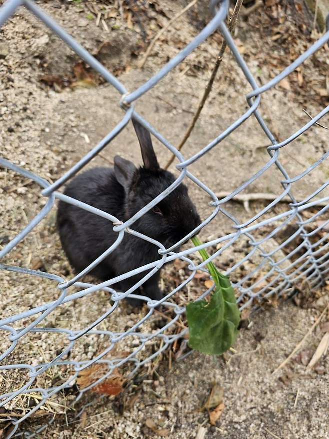 3fb8c32fffd711ab6fb8d38a4f83746ffd0e5ba9cc52ec414b89e2196647cec2845108c9261a5f94a8b5eceb4e