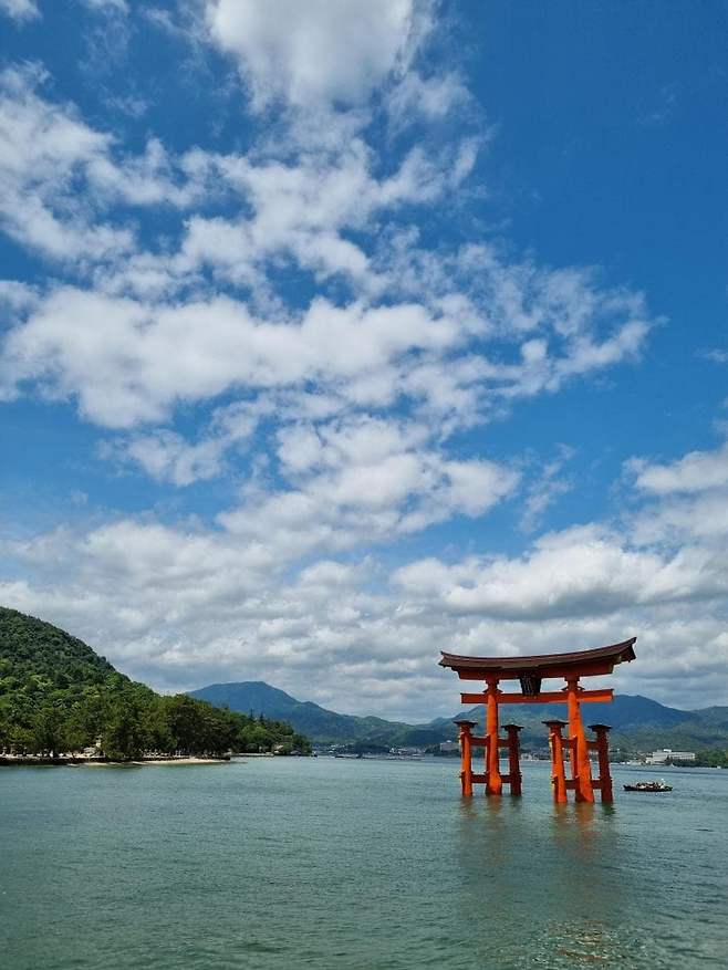 79e99e2cf5d518986abce89545877764909cfa