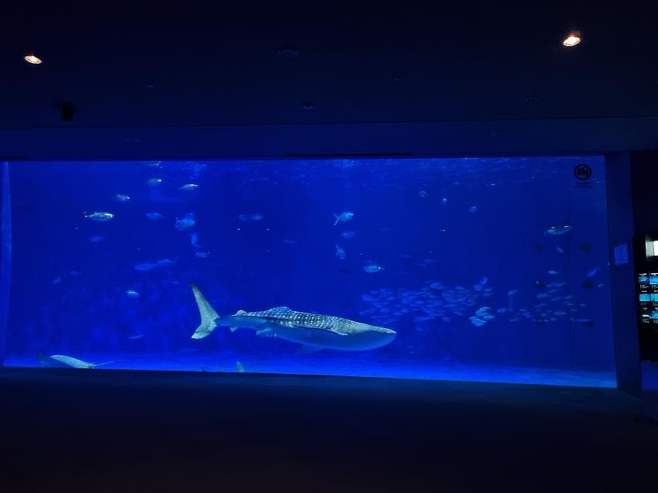 7fe89e2cf5d518986abce8954788746b6a7978