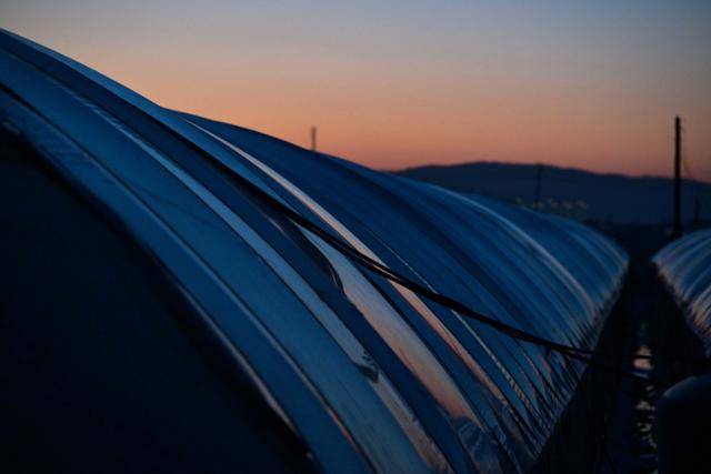 지난달 17일 경기 포천시 비닐하우스 단지에 해가 지고 있다. 포천=최주연 기자