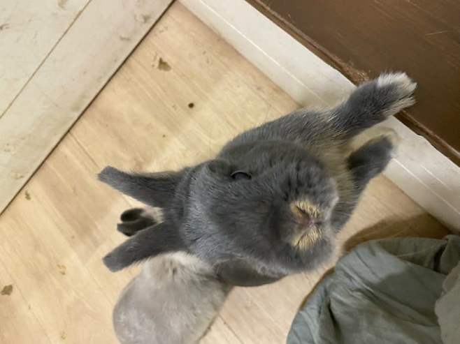 0c98f272c1f469f723ec86ed309c701e0ddcab98785594063408960fe0d64b404fe809ec30cf12beb015680e89218d70f3de98c4