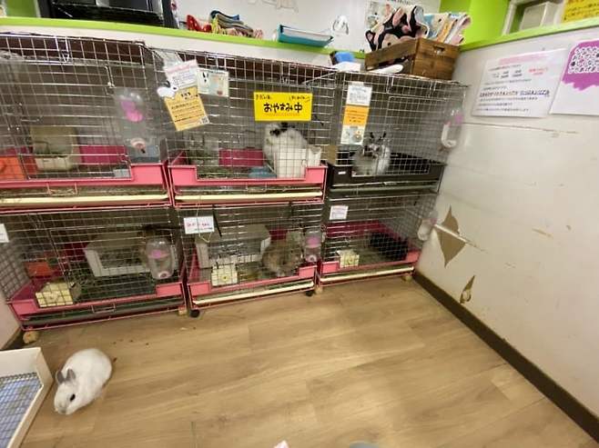 749ef607b5821df723ec83e5309c7065d4d4462f511f9e5ea0a2e66ce9276e282a2044dfe6402e09d0035f99976aa7c61bb674ef