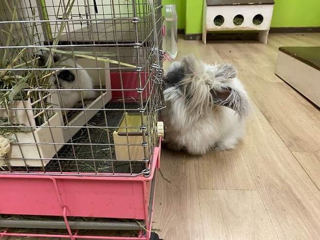 7feef273b1831bf723ecf293379c701b070b716823a2e19cf64441c171235c2992e1efd7949516a44c4e5157d0bbfdb8f5977ab2