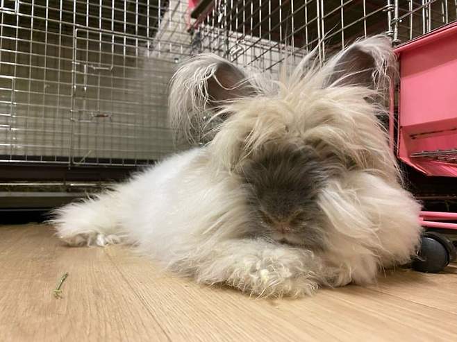 0feff402c1f01cf3239e8ee1429c706d5e7231c008d89333a90524c68b8ba3d23a20e3f2f630bb1735927664ad7396cb8b4de03c