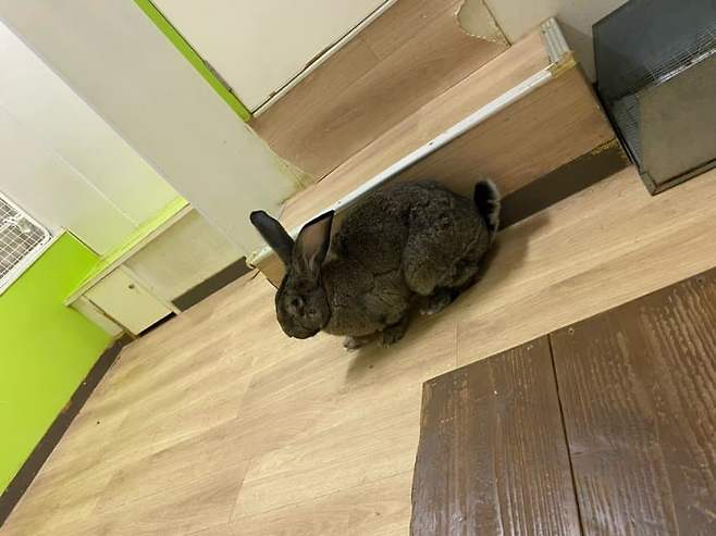 749e8275b78461f523ea86e1349c706c82f2fa985a12c08c84ab7fcc1a8199da91b5c0432aa554e4b7efbf88eebf893506df9922