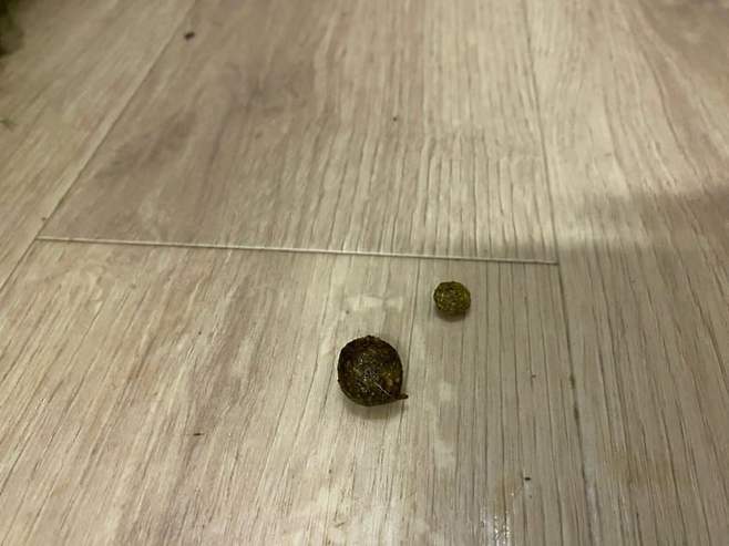 0c9ff475c38619f523ee84e6479c701e2ac32105bb49fd5a2450a8890d5ce7b65b81db9a44db900356aebe5ae0f6833986a17d29