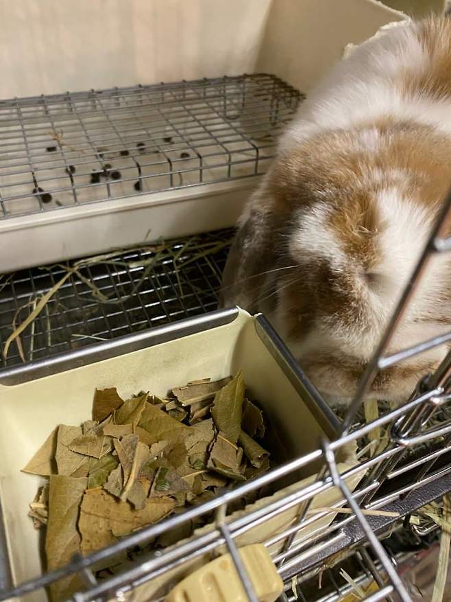 75e4f107bd866c87239c8390429c70187e0f594337f659db048f7701c9b372932e6a6600b38350509a5ba25af78a7fd9fb921ff8