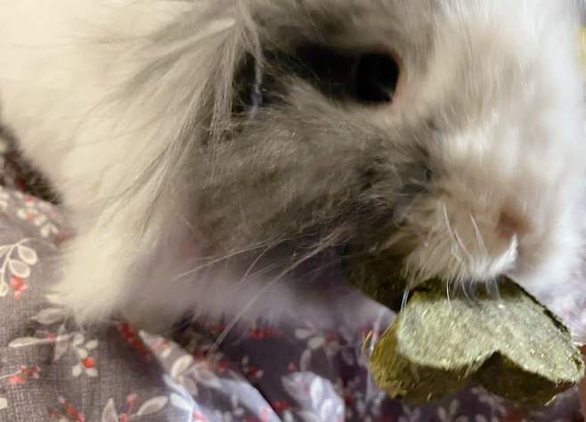 7ce88477b3f0688523e68ee0429c70658b3cc43c2e013ef7c7e17e2ea0a647ac2aee39ad9f0b973fa4825beaf0e3bc37c2754308