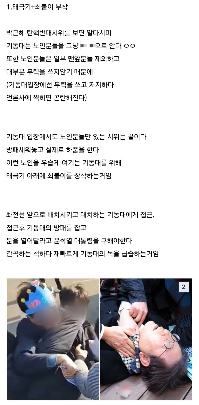 온라인 커뮤니티 디시인사이드 ‘미국정치갤러리’에 지난 8일 올라온 “태극기에 ‘쇠붙이’를 부착해 최전선에 배치하자” “기동대에게 접근해 방패를 잡고 기동대 목을 급습하자” 등의 게시글 내용. 9일 현재 삭제된 상태다. 디시인사이드 갈무리