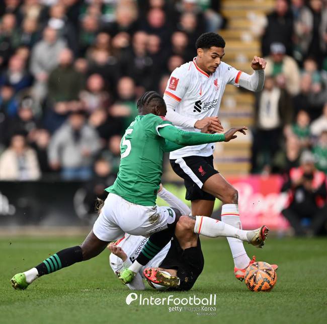 사진=게티 이미지