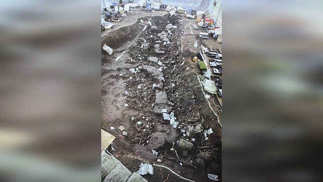 제주공항 유해 발굴 모습 (사진, 제주도 및 4.3평화재단)