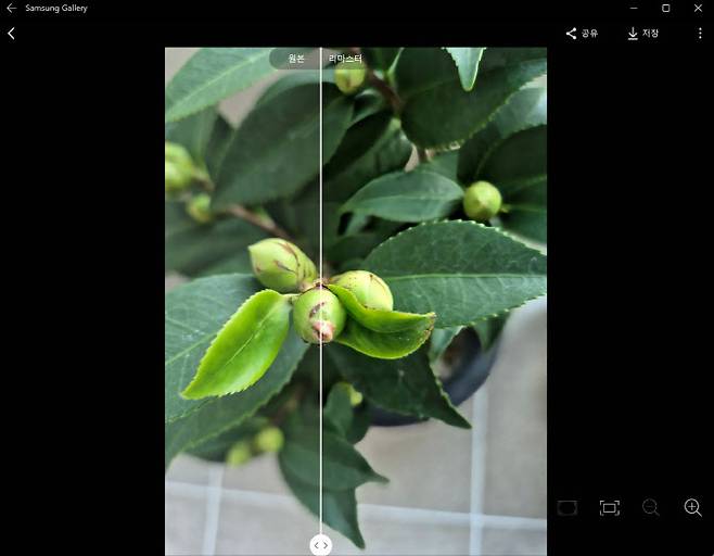 갤러리 내 리마스터 기능을 적용한 사진