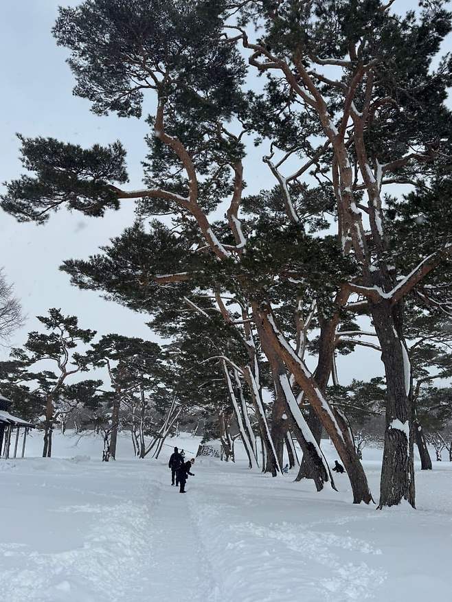 0fe98473c3841c82239c8791469c701981fd8bff89731cf2e0b7b1c9fa170ea8dcbde3f696b930797113f2176661647adf16201a39