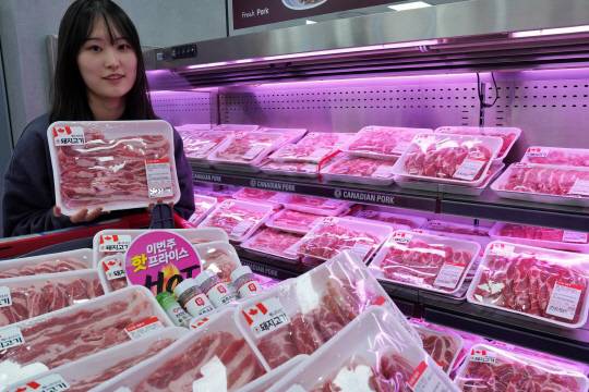 19일 서울 송파구 롯데마트 제타플렉스 잠실점 수입 삼겹살 코너에서 직원이 캐나다산 삼겹살을 소개하고 있다. 롯데마트 제공