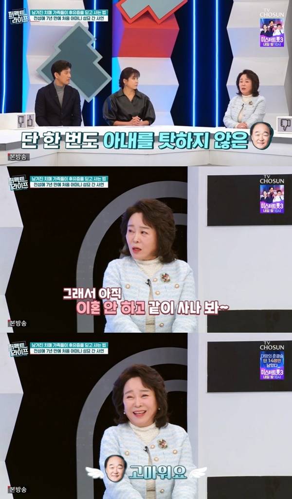 TV조선 ‘퍼펙트라이프’ 캡처