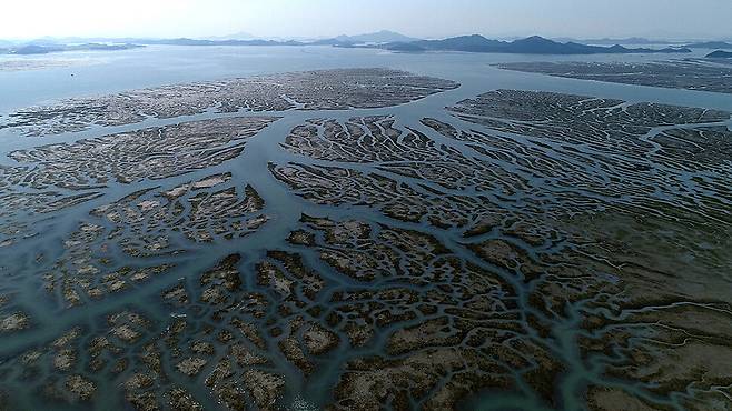 새만금 수라갯벌을 다룬 황윤 감독 다큐멘터리 ‘수라’의 한 장면. 스튜디오두마 제공