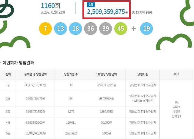제1160회 로또복권 당첨번호 조회 결과 1등 당첨은 12명이다. 1등 당첨금은 25억935만원이다. 1등 당첨 구매 방식은 자동 9명, 수동 2명, 반자동 1명이다. /동행복권 캡처