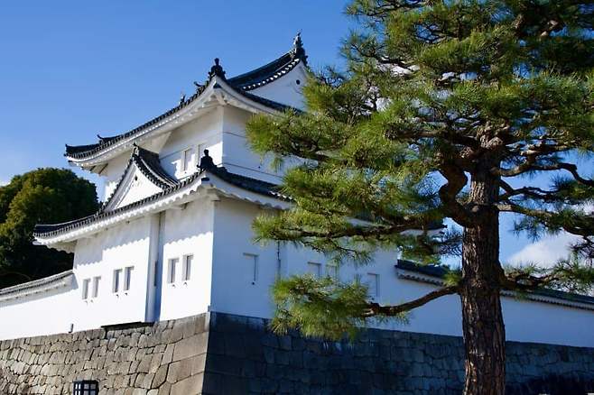 74e98176bc851bf023ea84e24e9c706c44524c1c8ca2c955faab7f32c1b389eb39a3366204c58900f6e77b45e84f19a6cd9e46c19a