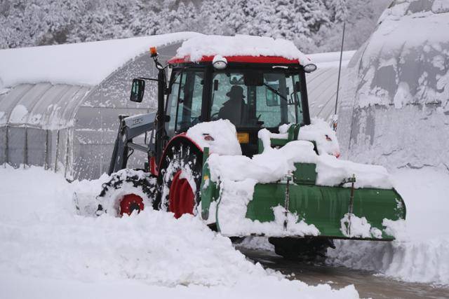 강원 산간을 중심으로 많은 눈이 내린 3일 오전 고성군 간성읍 산림청 고성평화양묘사업소에서 제설 작업이 이뤄지고 있다. 고성=연합뉴스