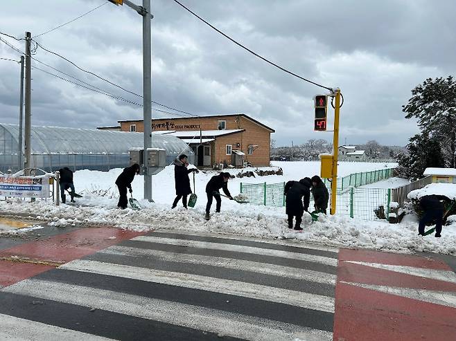 3일 제설작업에 투입된 공무원들. 강릉시 제공