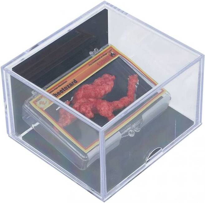 사진 = 뉴욕포스트 관련 보도 캡처