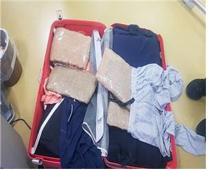 지난 2019년 6월 제주공항에서 적발된 대마초 19.84kg 제주세관 제공