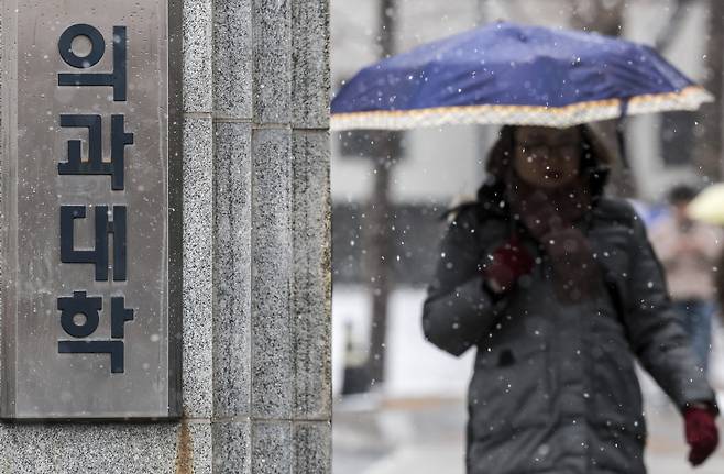 서울의 한 의과대학. /사진= 뉴시스