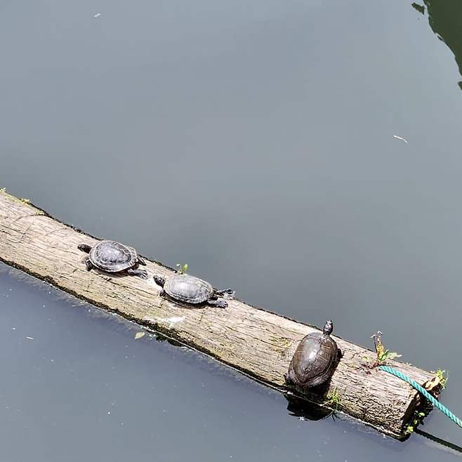 3fb8c32fffd711ab6fb8d38a4083746f72693531ce53e74e1a787e99f5acd4b38812c8e81013ea4f731a08d99f