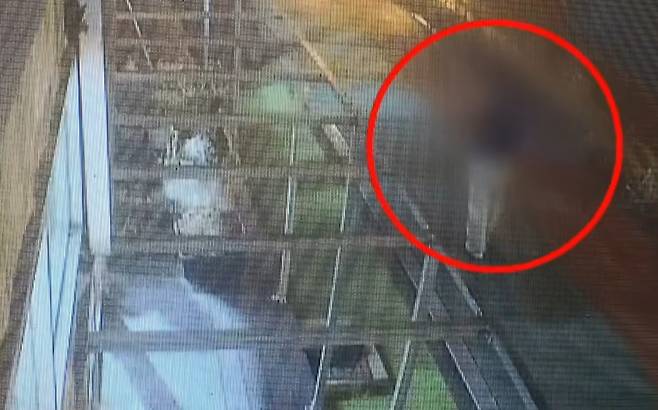 지난 2일 밤 충남 서천군 서천읍 사곡리의 한 인도에서 우산을 쓰고 걸어가는 40대 여성의 모습이 담긴 폐쇄회로(CC)TV 영상. 채널A 보도화면 캡처