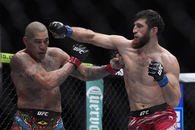 UFC 라이트헤비급 타이틀전에서 도전자 마고메드 안칼라에프(오른쪽)가 챔피언 알렉스 페레이라를 몰아붙이고 있다. 안칼라에프는 심판전원일치 판정승을 거두고 새로운 챔피언에 등극했다. 사진=AP PHOTO